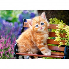 Puzzle de 500 piezas: Gatito rojo en las flores