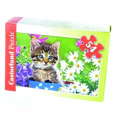 Puzzle 54 pièces : Mini puzzle : Chaton au milieu des fleurs