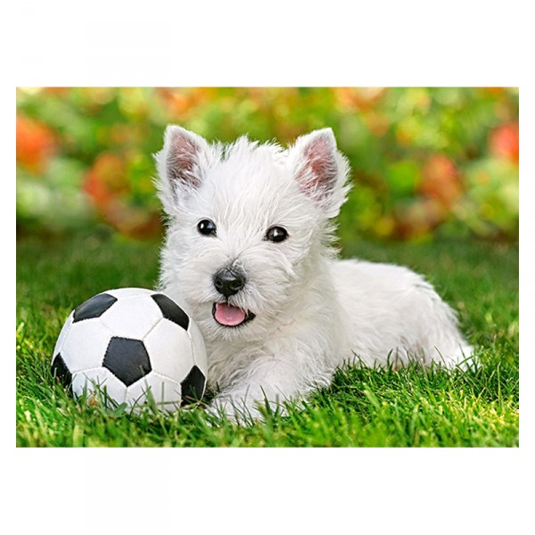 Puzzle 60 pièces : White Terrier et Football - Castorland-06823-1