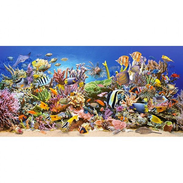 Underwater life,Puzzle 4000 pieces  - Castorland-400089