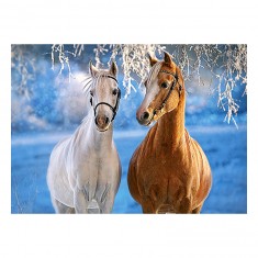 The Winter Horses - Puzzle 260 Pieces - Castorland