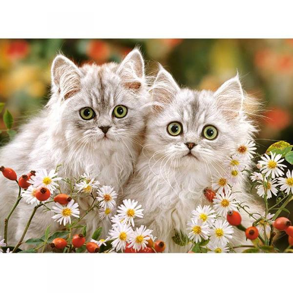200 piece puzzle: Persian kittens - Castorland-B-222131