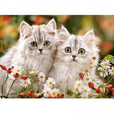 Persian Kittens - Puzzle 200 Pieces - Castorland