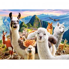 200 piece puzzle: Llamas