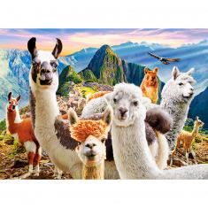 Puzzle de 200 piezas : Selfie de Llamas