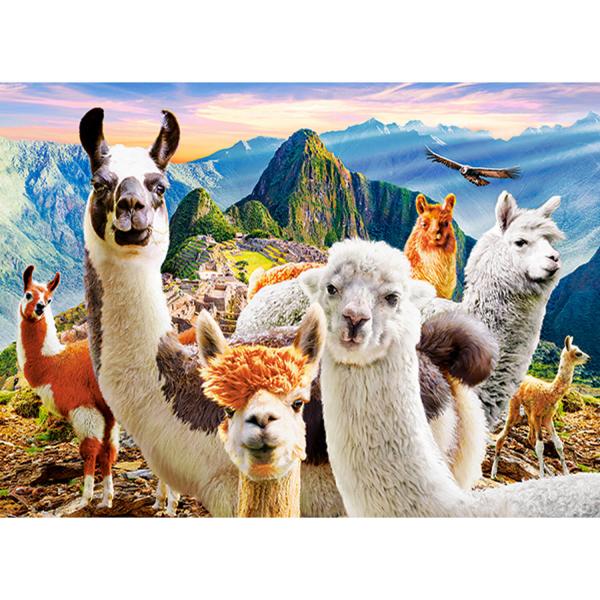 Puzzle de 200 piezas : Selfie de Llamas - Castorland-B-222193