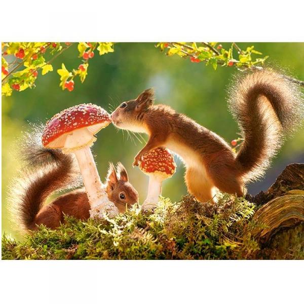 Squirrel's Forest Life,Puzzle 260 pieces  - Castorland-B-27521-1