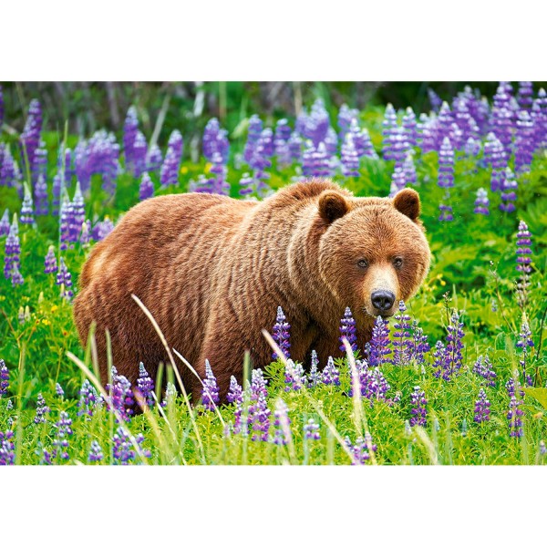 500 pieces puzzle: Bear in a meadow - Castorland-52677