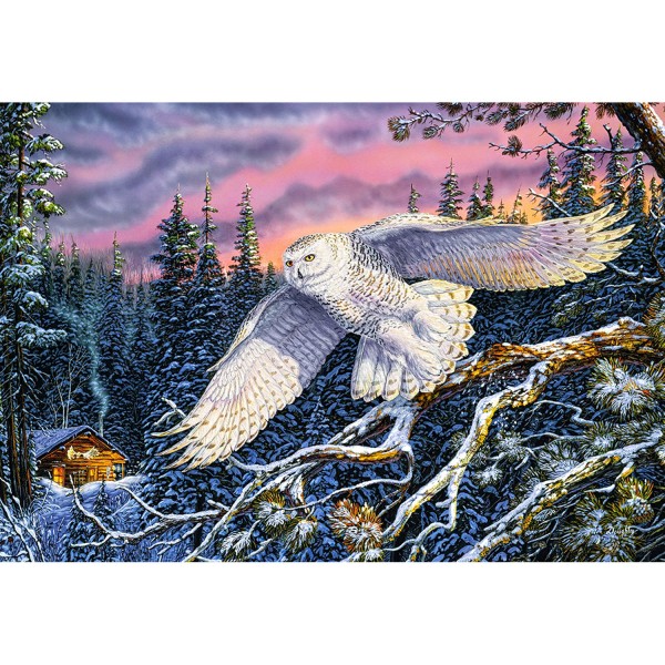 1500 pieces puzzle: Whisper of the wind - Castorland-151554-2