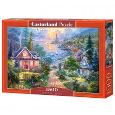 Puzzle de 1500 piezas: vida costera