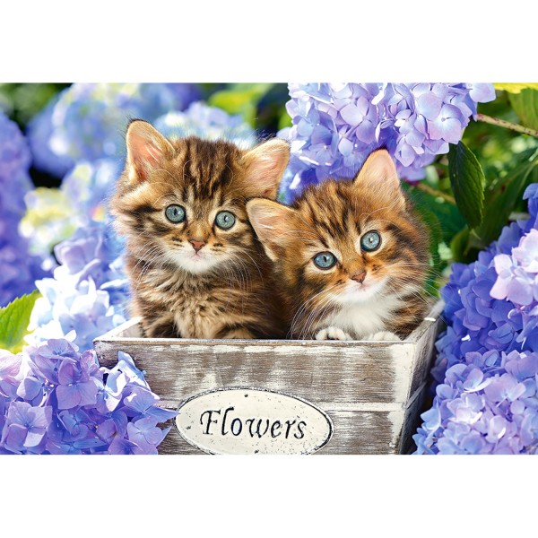 1500 pieces puzzle: Adorable kittens - Castorland-151561-2