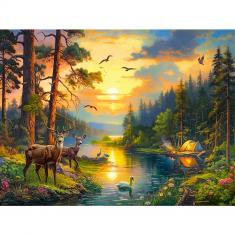 Puzzle 3000 pieces :  Sunset over Forest River