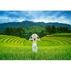 Puzzle 1000 pieces :  Rice Fields in Vietnam