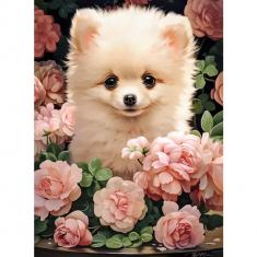 Puzzle 300 pièces : Chiot de Poméranie premium dans les roses