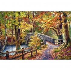 Puzzle 1000 pièces : Pont Brathay