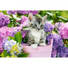 1500 piece puzzle : Kitten in Basket