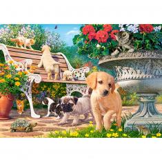 500 piece puzzle : Hide and Seek