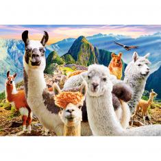 1000 piece puzzle : Llamas Selfie