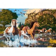 1000 piece puzzle : Horse Wonderland