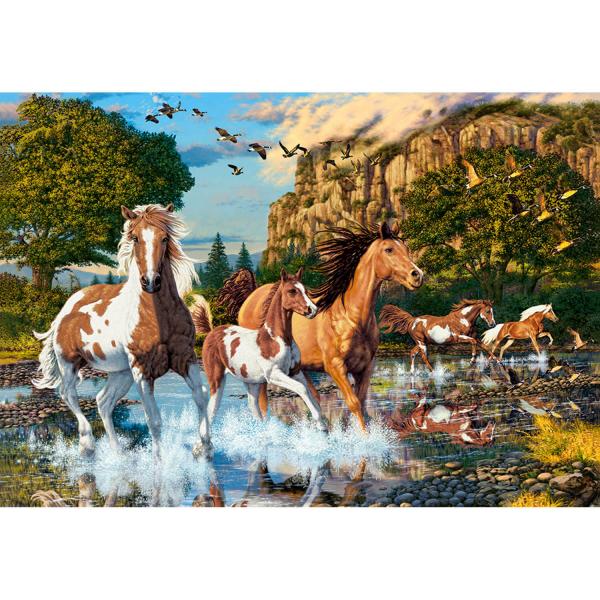 1000 piece puzzle : Horse Wonderland - Castorland-C-104789-2