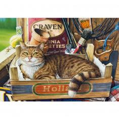 Puzzle de 500 piezas: Gato en su caja