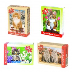 Lot Puzzles Chats mini : 4 puzzles de 54 pièces