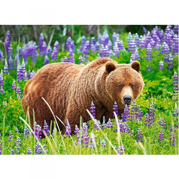 Bear an the Meadow, Puzzle 120 pieces  - Castorland-B-13425-1