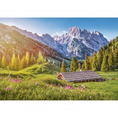 500 Teile Puzzle: Sommer in den Alpen