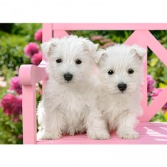 120 piece puzzle: White terrier puppies