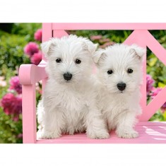 Puzzle de 120 piezas: Cachorros de terrier blanco