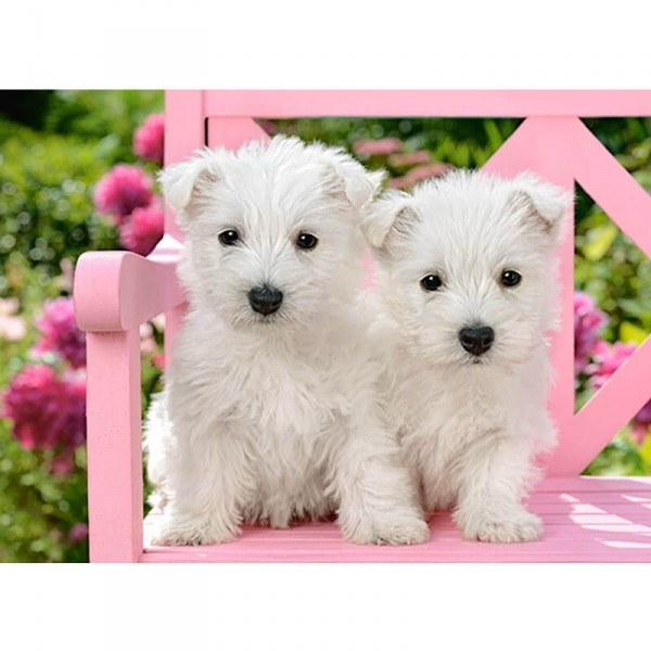 Puzzle de 120 piezas: Cachorros de terrier blanco - Castorland-B-13494-1