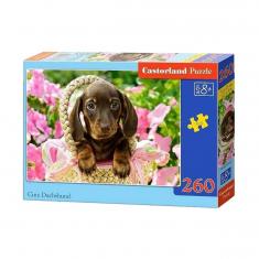 Puzzle de 260 piezas: lindo perro salchicha