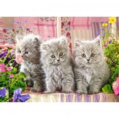 260 piece puzzle: Three gray kittens