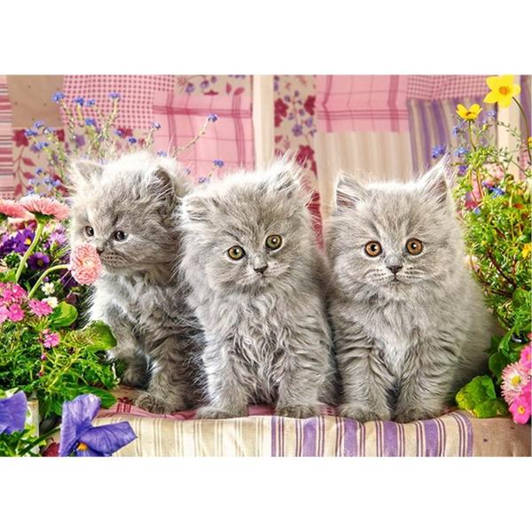 260 piece puzzle: Three gray kittens - Castorland-B-27491-1
