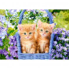 70-teiliges Puzzle: Ginger Kittens