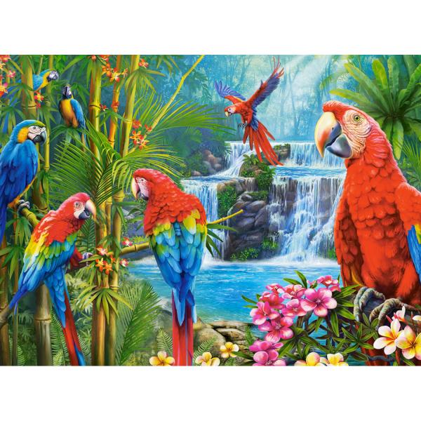 2000 piece puzzle : Parrot Meeting  - Castorland-C-200870-2