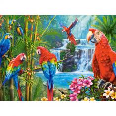 Puzzle de 2000 piezas: Encuentro de loros