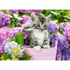 200 piece puzzle : Kitten in Basket