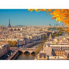 Puzzle de 2000 piezas: París desde arriba