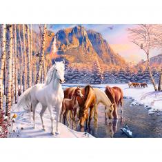 500 piece puzzle : Winter Melt