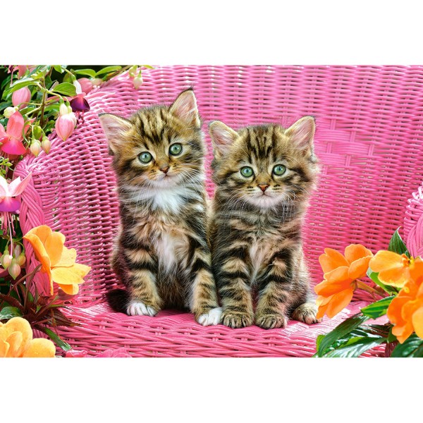 1000 pieces puzzle: Kittens in the garden chair - Castorland-103775-2