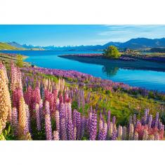 500 piece puzzle : Lake Tekapo, New Zealand 