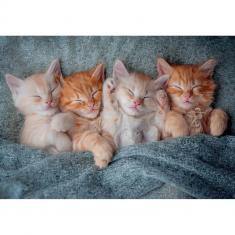1000 piece puzzle: The sweetest kittens