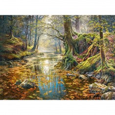 Puzzle 2000 pièces : Souvenir d'automne