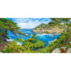 Puzzle 4000 pièces : Côte Californienne