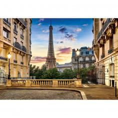 Puzzle mit 1000 Teilen: Spaziergang in Paris bei Sonnenuntergang