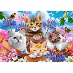 Puzzle 500 pièces : Chatons avec des Fleurs