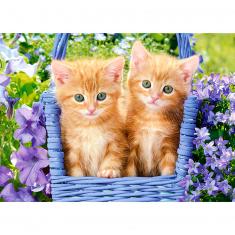 Puzzle mit 60 Teilen: Ginger Kittens