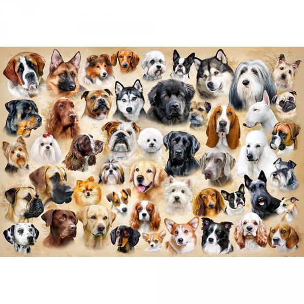 Puzzle 1500 pièces : Collage avec des Chiens - Castorland-C-151943-2