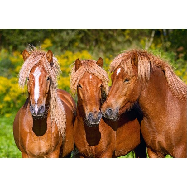 1000 pieces puzzle: Friendly horses - Castorland-C-103959-2